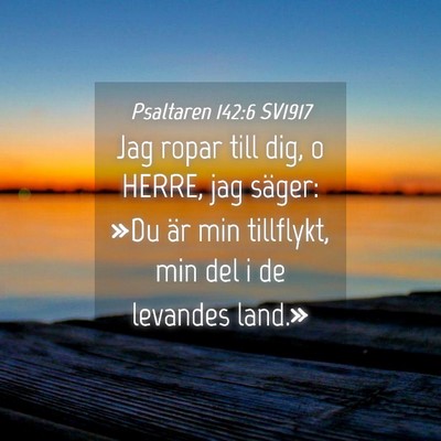 Picture 04 - Psaltaren 142:6 SV1917 - Jag ropar till dig, o HERRE, jag säger: »Du är - Bible Verse Picture