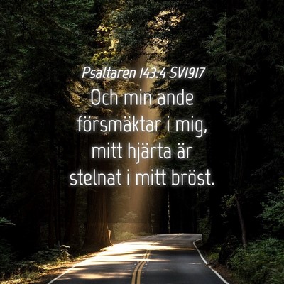 Picture 04 - Psaltaren 143:4 SV1917 - Och min ande försmäktar i mig, mitt hjärta är - Bible Verse Picture