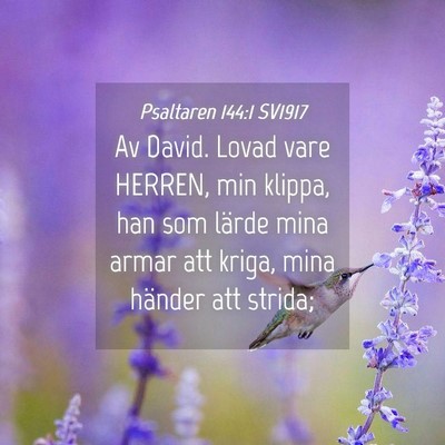 Picture 04 - Psaltaren 144:1 SV1917 - Av David. Lovad vare HERREN, min klippa, han som - Bible Verse Picture
