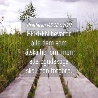 Picture 04 - Psaltaren 145:20 SV1917 - HERREN bevarar alla dem som älska honom, men - Bible Verse Picture