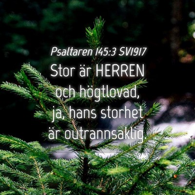 Picture 04 - Psaltaren 145:3 SV1917 - Stor är HERREN och högtlovad, ja, hans storhet - Bible Verse Picture