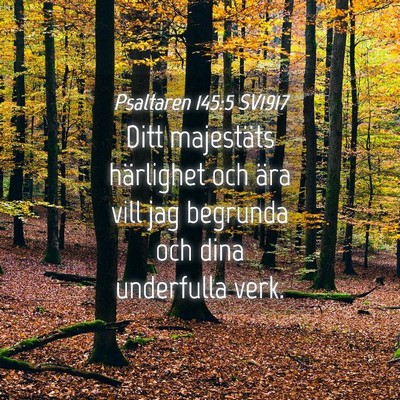 Picture 04 - Psaltaren 145:5 SV1917 - Ditt majestäts härlighet och ära vill jag - Bible Verse Picture