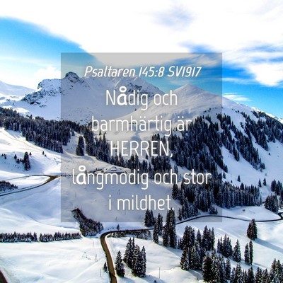 Picture 04 - Psaltaren 145:8 SV1917 - Nådig och barmhärtig är HERREN, långmodig och - Bible Verse Picture