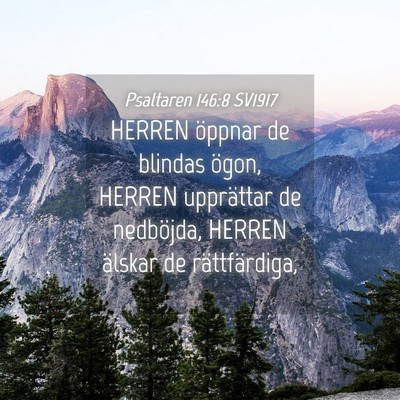 Picture 04 - Psaltaren 146:8 SV1917 - HERREN öppnar de blindas ögon, HERREN - Bible Verse Picture