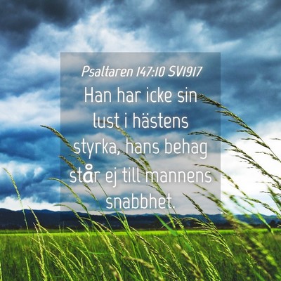 Picture 04 - Psaltaren 147:10 SV1917 - Han har icke sin lust i hästens styrka, hans - Bible Verse Picture