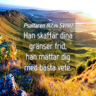 Picture 04 - Psaltaren 147:14 SV1917 - Han skaffar dina gränser frid, han mättar dig - Bible Verse Picture