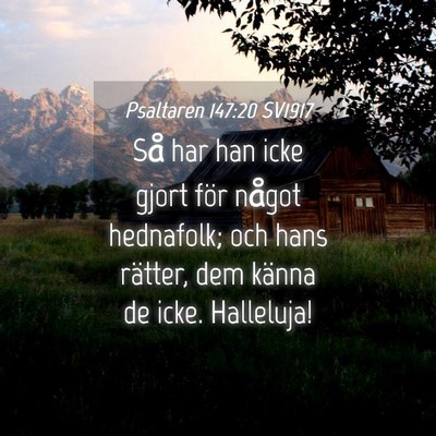 Picture 04 - Psaltaren 147:20 SV1917 - Så har han icke gjort för något hednafolk; och - Bible Verse Picture
