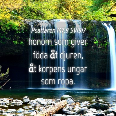 Picture 04 - Psaltaren 147:9 SV1917 - honom som giver föda åt djuren, åt korpens - Bible Verse Picture
