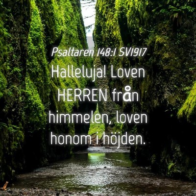 Picture 04 - Psaltaren 148:1 SV1917 - Halleluja! Loven HERREN från himmelen, loven - Bible Verse Picture
