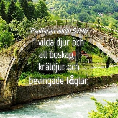 Picture 04 - Psaltaren 148:10 SV1917 - I vilda djur och all boskap, I kräldjur och - Bible Verse Picture