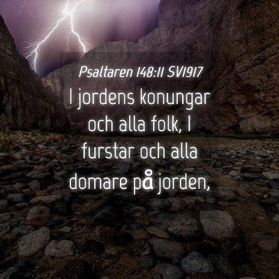 Picture 04 - Psaltaren 148:11 SV1917 - I jordens konungar och alla folk, I furstar och - Bible Verse Picture