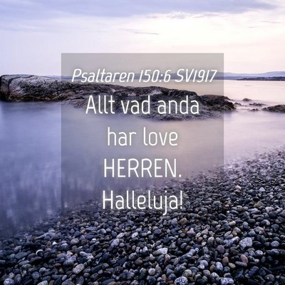 Picture 04 - Psaltaren 150:6 SV1917 - Allt vad anda har love HERREN. - Bible Verse Picture