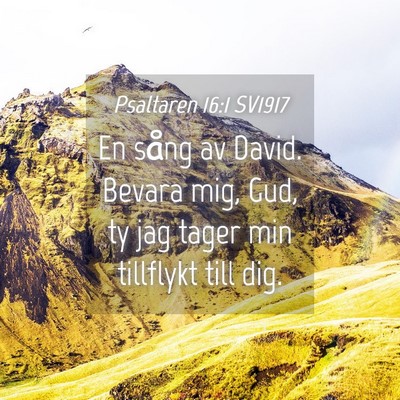Picture 04 - Psaltaren 16:1 SV1917 - En sång av David. Bevara mig, Gud, ty jag tager - Bible Verse Picture