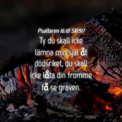 Picture 04 - Psaltaren 16:10 SV1917 - Ty du skall icke lämna min själ åt dödsriket, - Bible Verse Picture