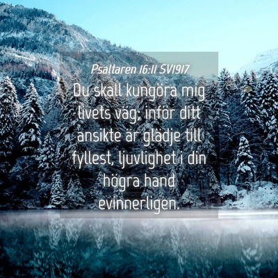 Picture 04 - Psaltaren 16:11 SV1917 - Du skall kungöra mig livets väg; inför ditt - Bible Verse Picture