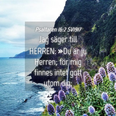 Picture 04 - Psaltaren 16:2 SV1917 - Jag säger till HERREN: »Du är ju Herren; för - Bible Verse Picture