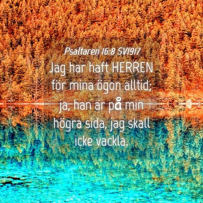 Picture 04 - Psaltaren 16:8 SV1917 - Jag har haft HERREN för mina ögon alltid; ja, - Bible Verse Picture