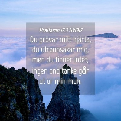 Picture 04 - Psaltaren 17:3 SV1917 - Du prövar mitt hjärta, du utrannsakar mig, men - Bible Verse Picture