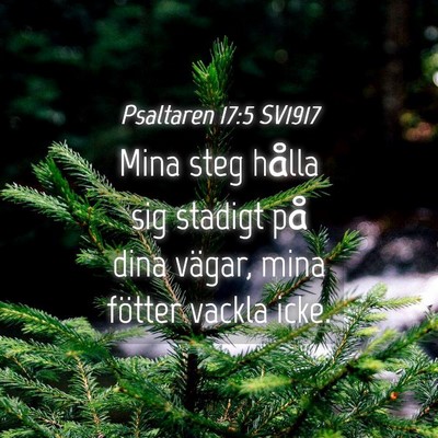 Picture 04 - Psaltaren 17:5 SV1917 - Mina steg hålla sig stadigt på dina vägar, - Bible Verse Picture