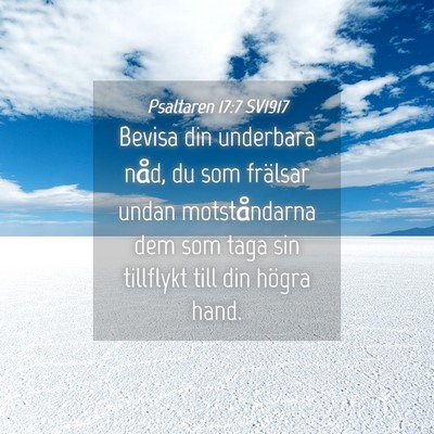 Picture 04 - Psaltaren 17:7 SV1917 - Bevisa din underbara nåd, du som frälsar undan - Bible Verse Picture