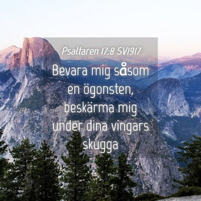 Picture 04 - Psaltaren 17:8 SV1917 - Bevara mig såsom en ögonsten, beskärma mig - Bible Verse Picture