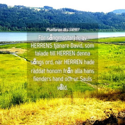 Picture 04 - Psaltaren 18:1 SV1917 - För sångmästaren; av HERRENS tjänare David, - Bible Verse Picture