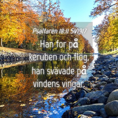 Picture 04 - Psaltaren 18:11 SV1917 - Han for på keruben och flög, han svävade på - Bible Verse Picture