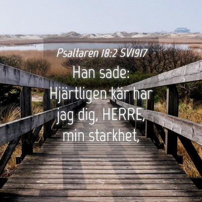Picture 04 - Psaltaren 18:2 SV1917 - Han sade: Hjärtligen kär har jag dig, HERRE, - Bible Verse Picture