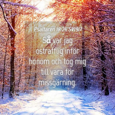 Picture 04 - Psaltaren 18:24 SV1917 - Så var jag ostrafflig inför honom och tog mig - Bible Verse Picture