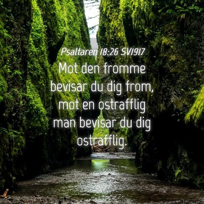 Picture 04 - Psaltaren 18:26 SV1917 - Mot den fromme bevisar du dig from, mot en - Bible Verse Picture