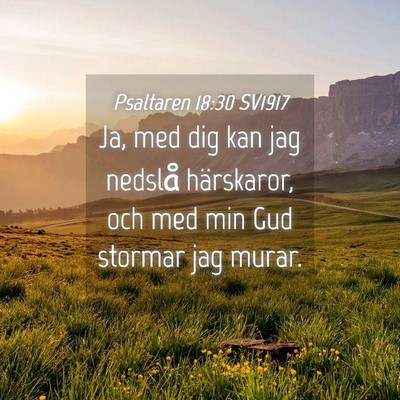 Picture 04 - Psaltaren 18:30 SV1917 - Ja, med dig kan jag nedslå härskaror, och med - Bible Verse Picture