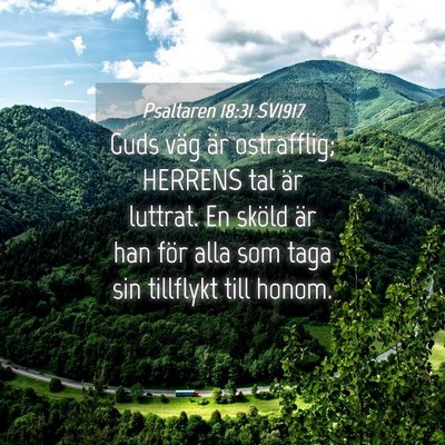 Picture 04 - Psaltaren 18:31 SV1917 - Guds väg är ostrafflig; HERRENS tal är - Bible Verse Picture