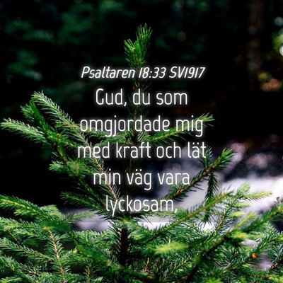 Picture 04 - Psaltaren 18:33 SV1917 - Gud, du som omgjordade mig med kraft och lät min - Bible Verse Picture
