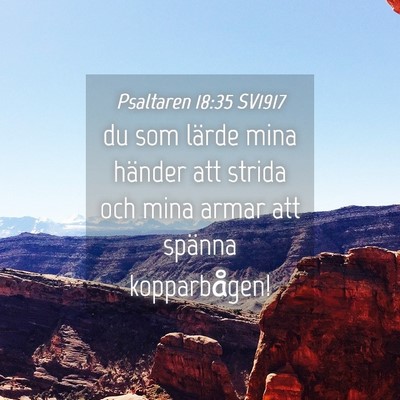 Picture 04 - Psaltaren 18:35 SV1917 - du som lärde mina händer att strida och mina - Bible Verse Picture