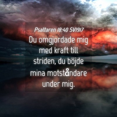 Picture 04 - Psaltaren 18:40 SV1917 - Du omgjordade mig med kraft till striden, du - Bible Verse Picture