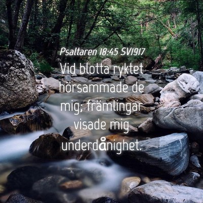 Picture 04 - Psaltaren 18:45 SV1917 - Vid blotta ryktet hörsammade de mig; främlingar - Bible Verse Picture