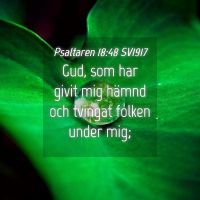 Picture 04 - Psaltaren 18:48 SV1917 - Gud, som har givit mig hämnd och tvingat folken - Bible Verse Picture