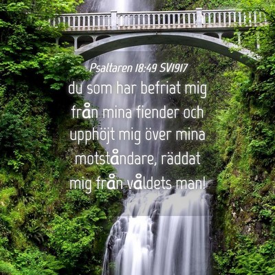 Picture 04 - Psaltaren 18:49 SV1917 - du som har befriat mig från mina fiender och - Bible Verse Picture