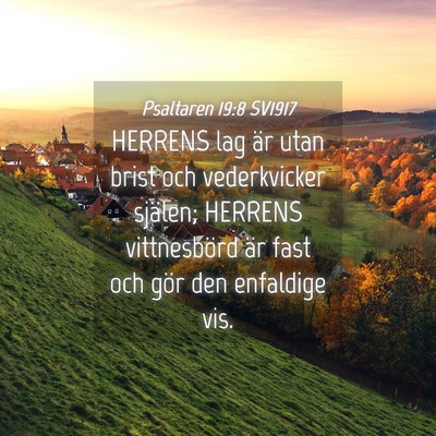 Picture 04 - Psaltaren 19:8 SV1917 - HERRENS lag är utan brist och vederkvicker - Bible Verse Picture