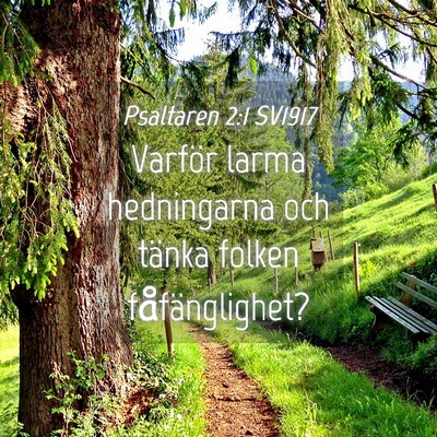 Picture 04 - Psaltaren 2:1 SV1917 - Varför larma hedningarna och tänka folken - Bible Verse Picture