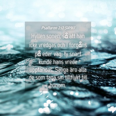 Picture 04 - Psaltaren 2:12 SV1917 - Hyllen sonen, så att han icke vredgas och I - Bible Verse Picture