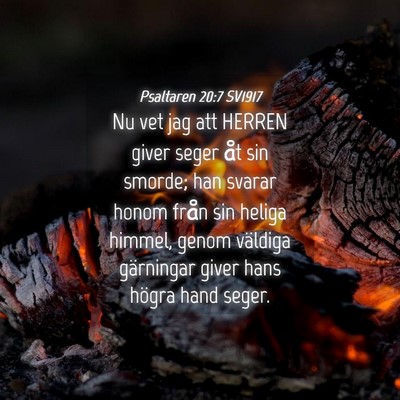 Picture 04 - Psaltaren 20:7 SV1917 - Nu vet jag att HERREN giver seger åt sin smorde; - Bible Verse Picture