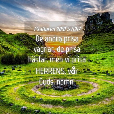 Picture 04 - Psaltaren 20:8 SV1917 - De andra prisa vagnar, de prisa hästar, men vi - Bible Verse Picture