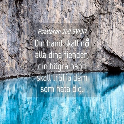 Picture 04 - Psaltaren 21:9 SV1917 - Din hand skall nå alla dina fiender; din högra - Bible Verse Picture