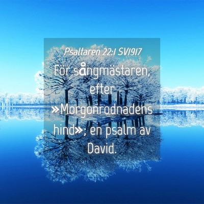Picture 04 - Psaltaren 22:1 SV1917 - För sångmästaren, efter »Morgonrodnadens - Bible Verse Picture