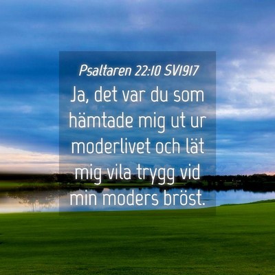 Picture 04 - Psaltaren 22:10 SV1917 - Ja, det var du som hämtade mig ut ur moderlivet - Bible Verse Picture