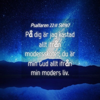 Picture 04 - Psaltaren 22:11 SV1917 - På dig är jag kastad allt ifrån modersskötet; - Bible Verse Picture