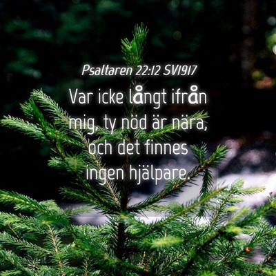 Picture 04 - Psaltaren 22:12 SV1917 - Var icke långt ifrån mig, ty nöd är nära, - Bible Verse Picture