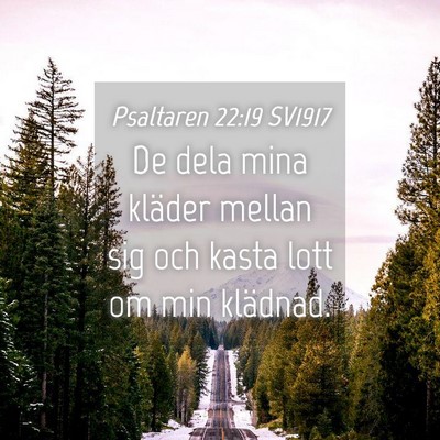 Picture 04 - Psaltaren 22:19 SV1917 - De dela mina kläder mellan sig och kasta lott om - Bible Verse Picture