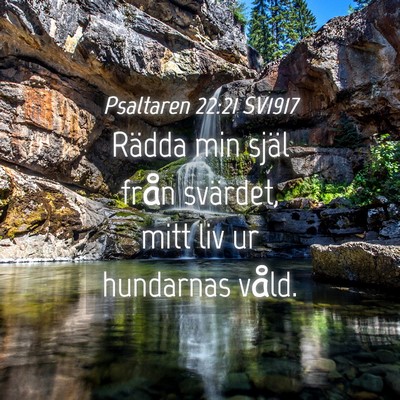 Picture 04 - Psaltaren 22:21 SV1917 - Rädda min själ från svärdet, mitt liv ur - Bible Verse Picture